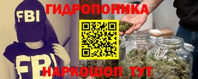 spice Кандалакша